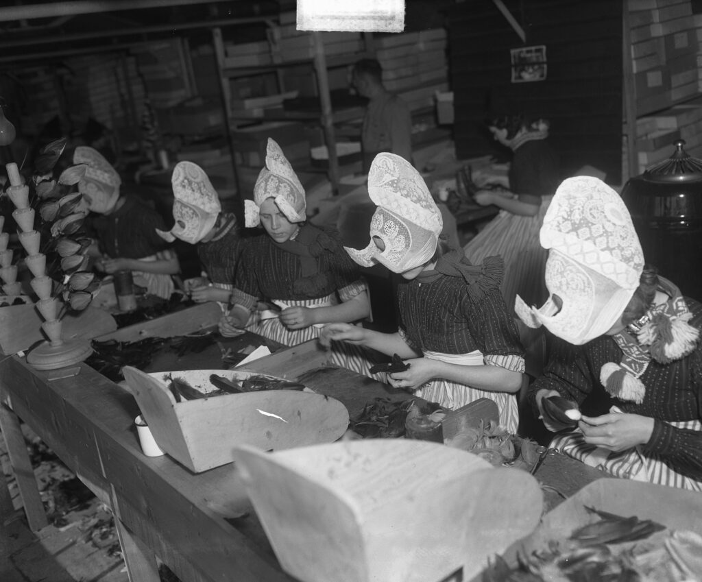 Женщины работают в текстильной промышленности, 1950 год